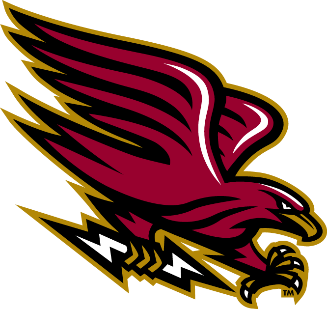 Louisiana-Monroe Warhawks 2006-Pres Alternate Logo v9 iron on transfers for T-shirts